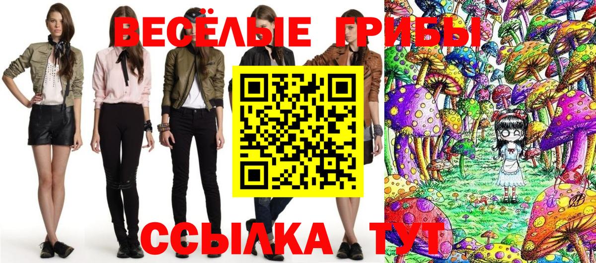 Улан-Удэ  Псилоцибиновые грибы Cubensis  Вход с VPN 
